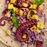 Revo Foods - The KRAKEN octapus analog