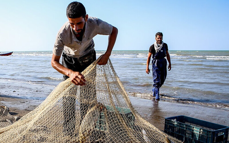 Iranian fishers hauling in their catch