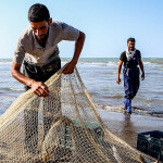 Iranian fishers hauling in their catch