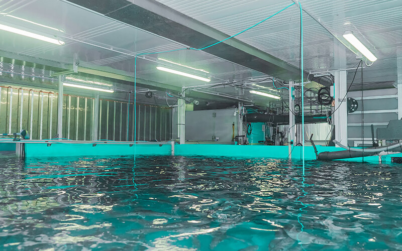 A Seawater Cube RAS, which allows farmers to have an extra revenue stream or community co-ops to have fresh fish