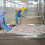 Workers at a Can Tho Import-Export Seafood Joint Stock Company facility