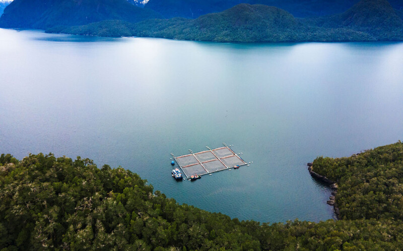 Cooke Chile's organic Atlantic salmon farm