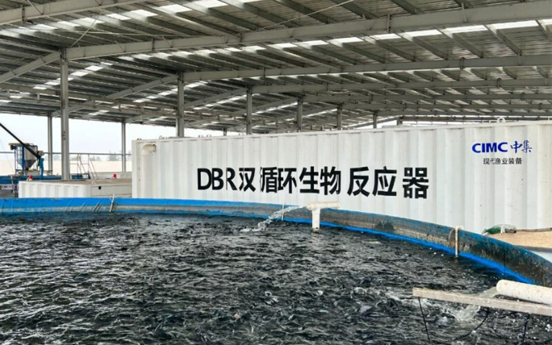 Xinhui CIMC's dual-cycle aquaculture system