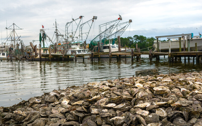 Fishing vessels in Alabama