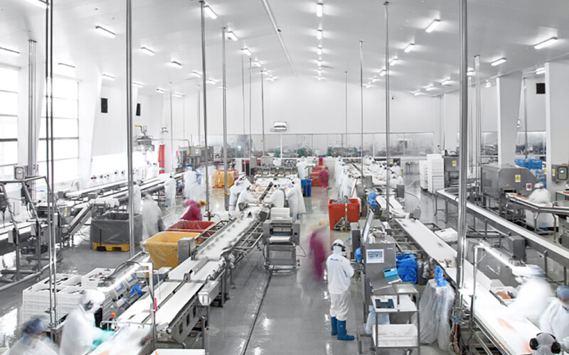 A Multi X processing facility