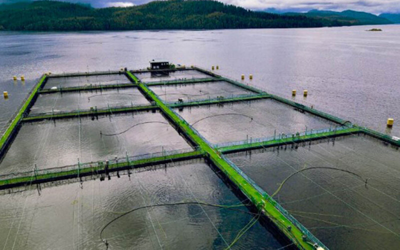 A Poseidon Ocean Systems aquaculture system