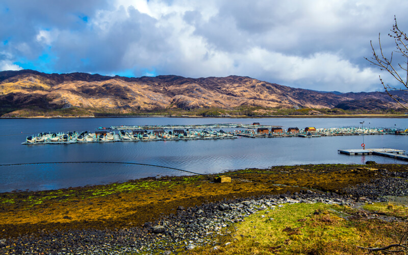 A fish farm in the Scottish Highlands
