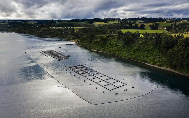 A Camanchaca fish farm in Chile