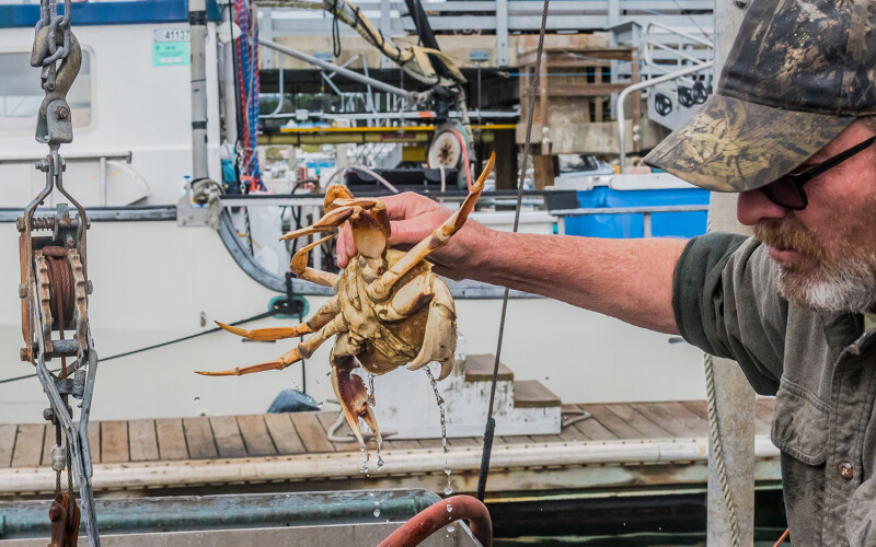 Fishermen selling fresh live Dungeness crab in Half Moon Bay, California