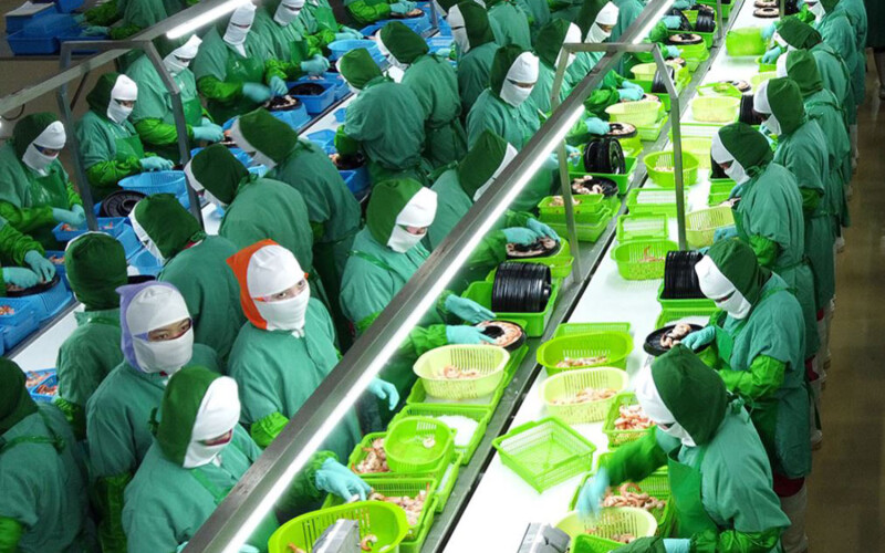 Workers at a Bumi Menara Internusa shrimp-processing plant