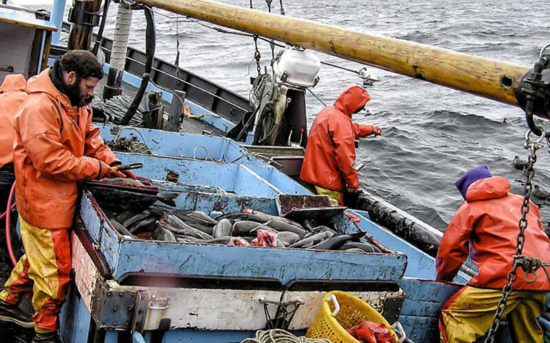 Fisheries observers aboard a vessel in the North Pacific