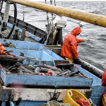 Fisheries observers aboard a vessel in the North Pacific