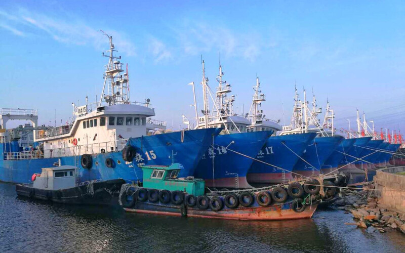 China Ocean Group's distant-water fishing fleet