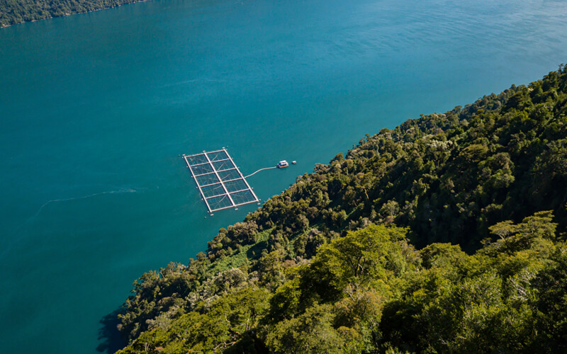 A fish farm in southern Chile