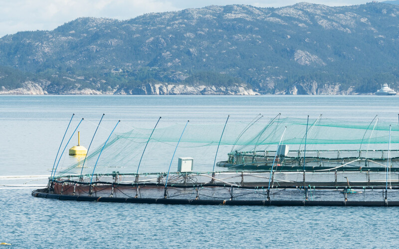 A salmon farm operated by Lerøy Seafood