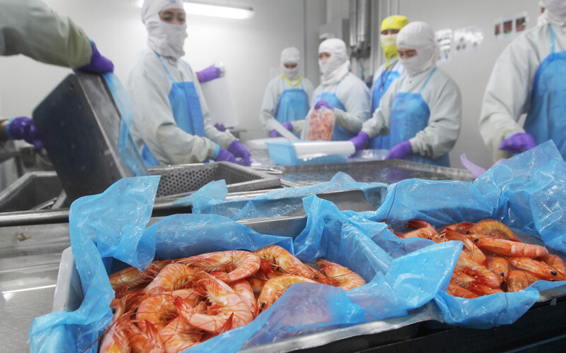 Workers preparing shrimp in Thailand