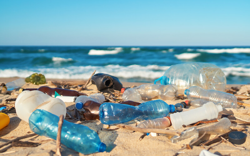 Plastic bottles on a beach