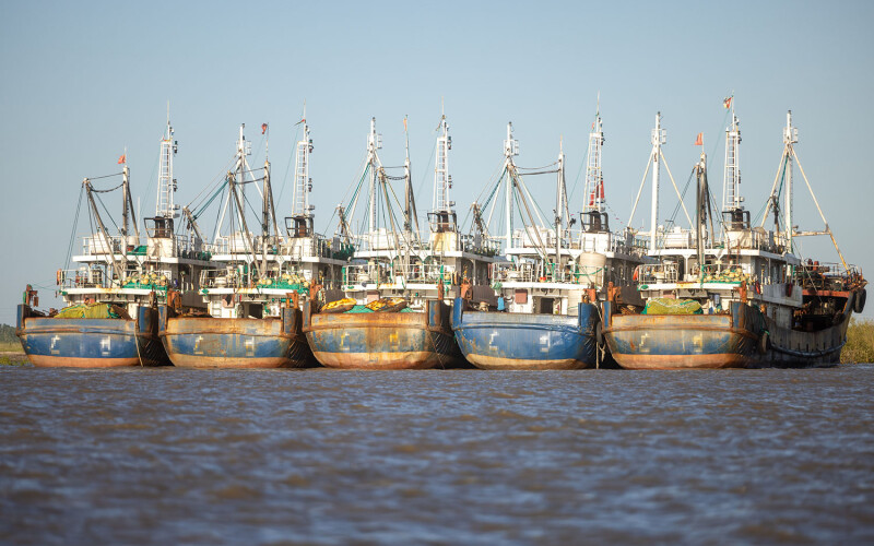 A fleet of Chinese distant water fishing vessel on the water by the shoreline.