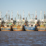 A fleet of Chinese distant water fishing vessel on the water by the shoreline.