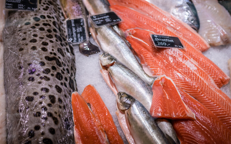 Norwegian salmon on ice