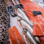 Norwegian salmon on ice