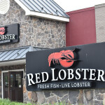 The exterior of a Red Lobster restaurant