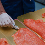 A salmon processing plant employee measuring temperature of smoked salmon