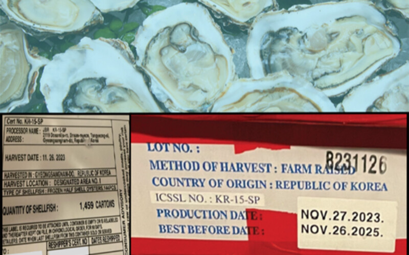 A picture of oysters being blamed for a norovirus outbreak in California