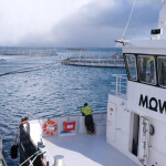 A Mowi wellboat tending to a salmon farm