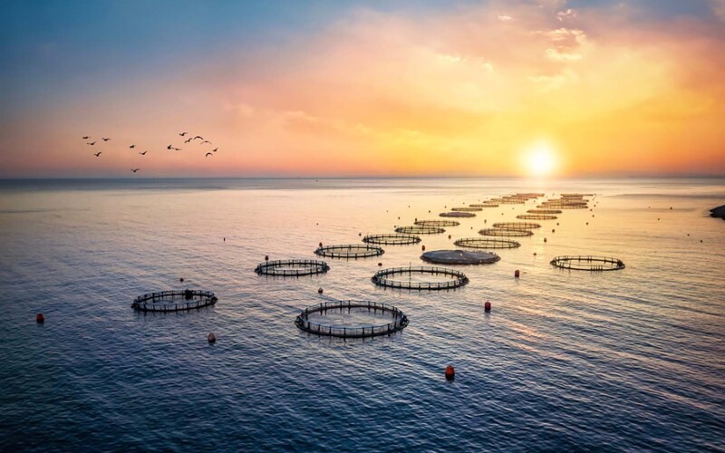 A fish farm in Greece