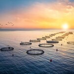 A fish farm in Greece