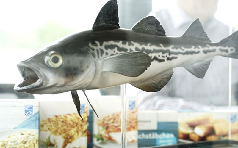 Trident Seafoods' subsidiary Pickenpack sells value-added pollock products in Europe