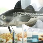 Trident Seafoods' subsidiary Pickenpack sells value-added pollock products in Europe