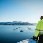 A Mowi employee overlooking a fish farm in western Norway