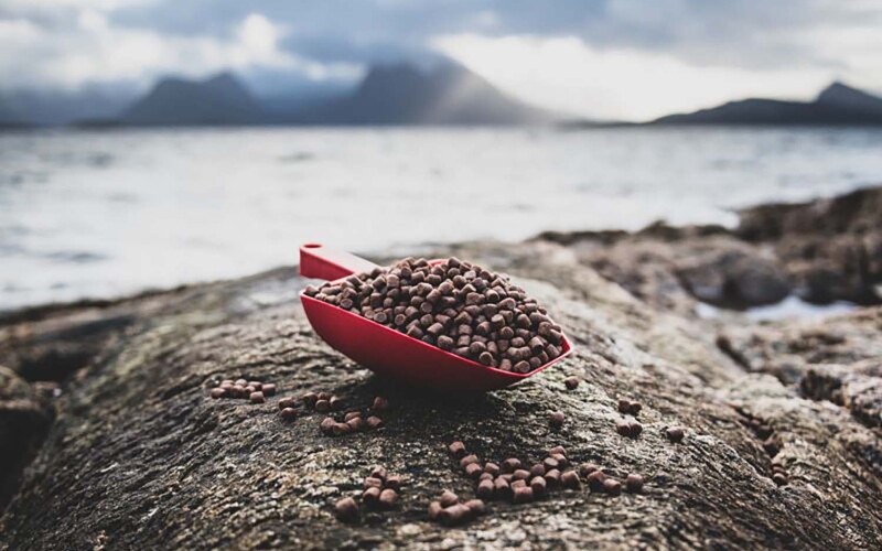Salmon feed crated through a joint project between BioMar and Kvaroy Arctic that uses North Atlantic wild fish trimmings