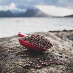 Salmon feed crated through a joint project between BioMar and Kvaroy Arctic that uses North Atlantic wild fish trimmings