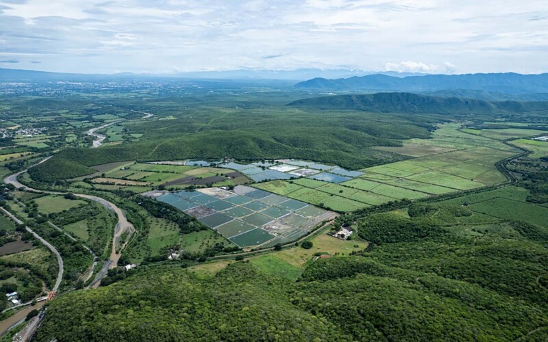 A shrimp farm in the Mexican state of Veracruz