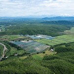A shrimp farm in the Mexican state of Veracruz