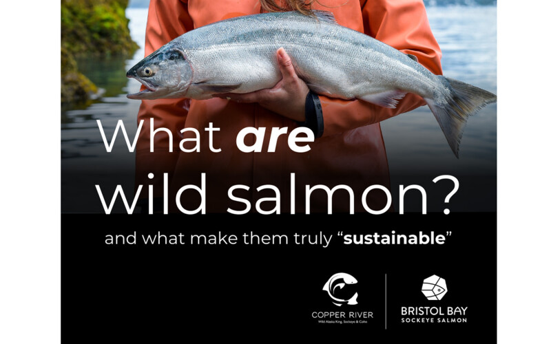 The Bristol Bay Regional Seafood Development Association and the Copper River Prince William Sound Regional Seafood Development Association