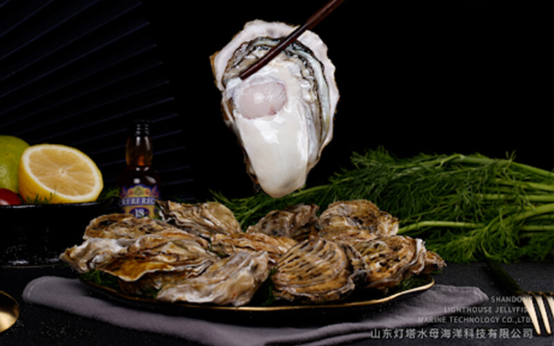 A plate of Shandong Lighthouse Jellyfish oysters