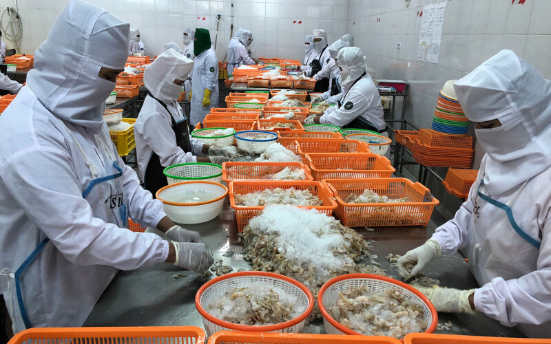 Workers processing shrimp in Indonesia