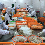 A shrimp-processing plant in Indonesia