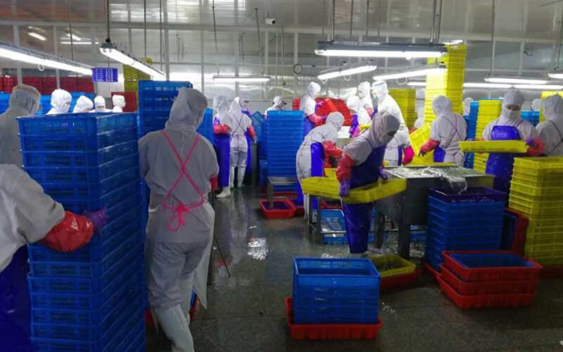 A processing plant in China that allegedly uses North Korean labor