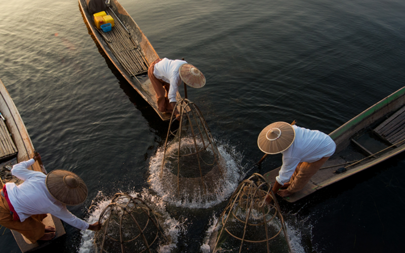 Fishers in Myanmar catching fish under Blueyou standards