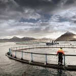 A Bakkafrost fish-farming site in Funningsfjørður, Faroe Islands