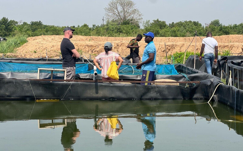 ASC employees working in Ghana at a fishery