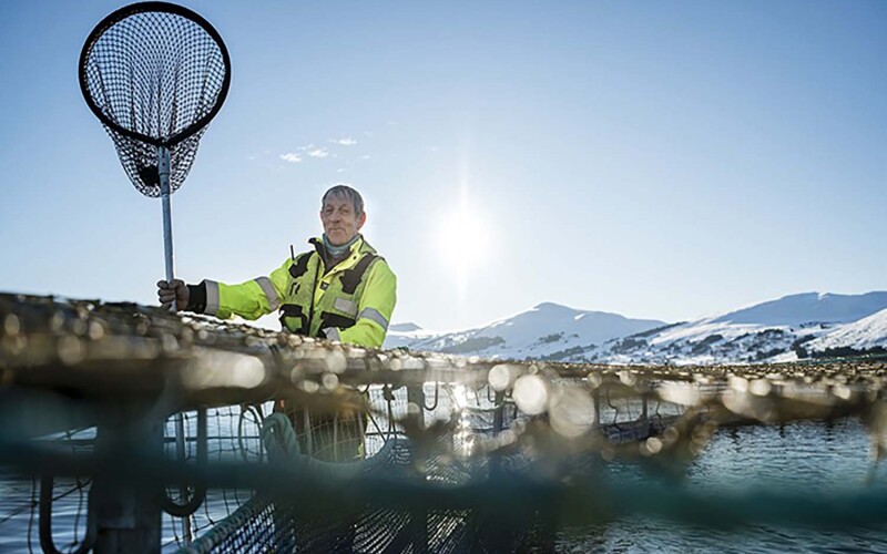 A Mowi farmer at one of the company's Norwegian farms