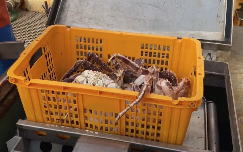 A basket filled with crab on a Russian vessel