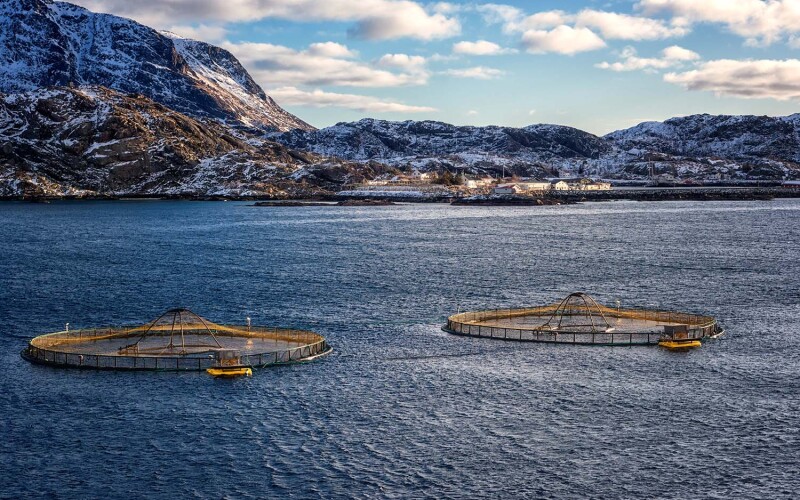 A salmon farm in Norway's Lofoten Islands