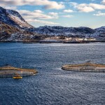 A salmon farm in Norway's Lofoten Islands